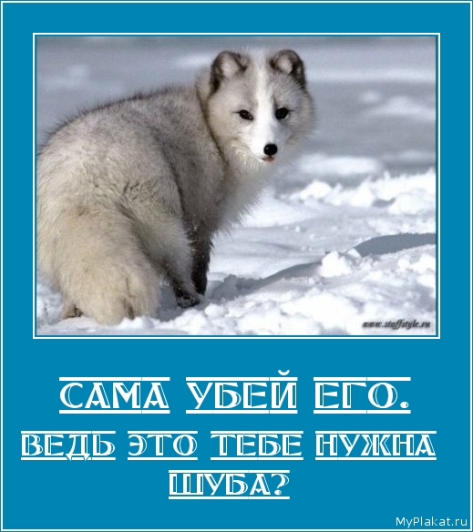 САМА УБЕЙ ЕГО. ведь это тебе нужна шуба?