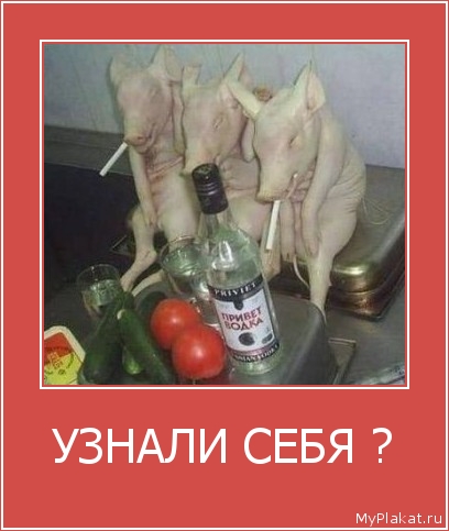 УЗНАЛИ СЕБЯ ? 