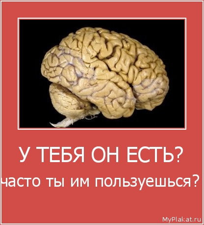 У ТЕБЯ ОН ЕСТЬ? часто ты им пользуешься? 