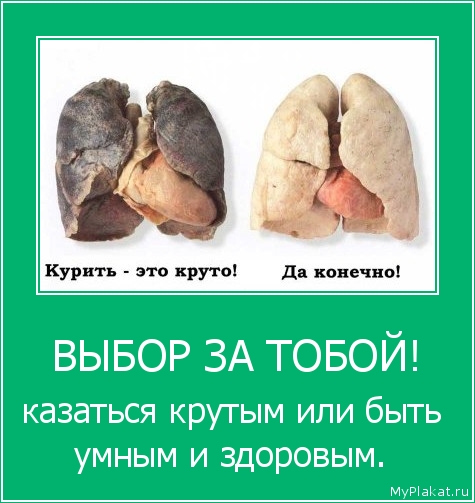 ВЫБОР ЗА ТОБОЙ! казаться крутым или быть умным и здоровым.