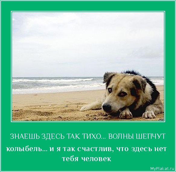 ЗНАЕШЬ ЗДЕСЬ ТАК ТИХО... ВОЛНЫ ШЕПЧУТ колыбель... и я так счастлив, что здесь нет тебя человек