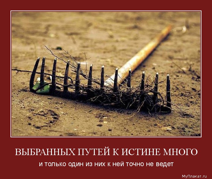 ВЫБРАННЫХ ПУТЕЙ К ИСТИНЕ МНОГО и только один из них к ней точно не ведет