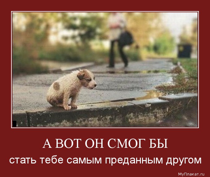 А ВОТ ОН СМОГ БЫ стать тебе самым преданным другом