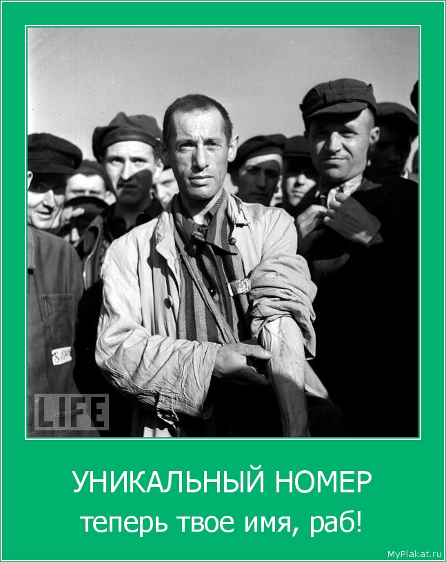 УНИКАЛЬНЫЙ НОМЕР теперь твоё имя, раб!
