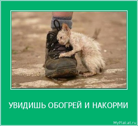 УВИДИШЬ ОБОГРЕЙ И НАКОРМИ 