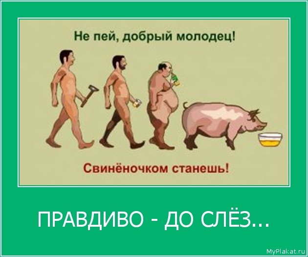 ПРАВДИВО - ДО СЛЁЗ... 