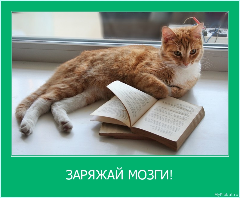 ЗАРЯЖАЙ МОЗГИ! 