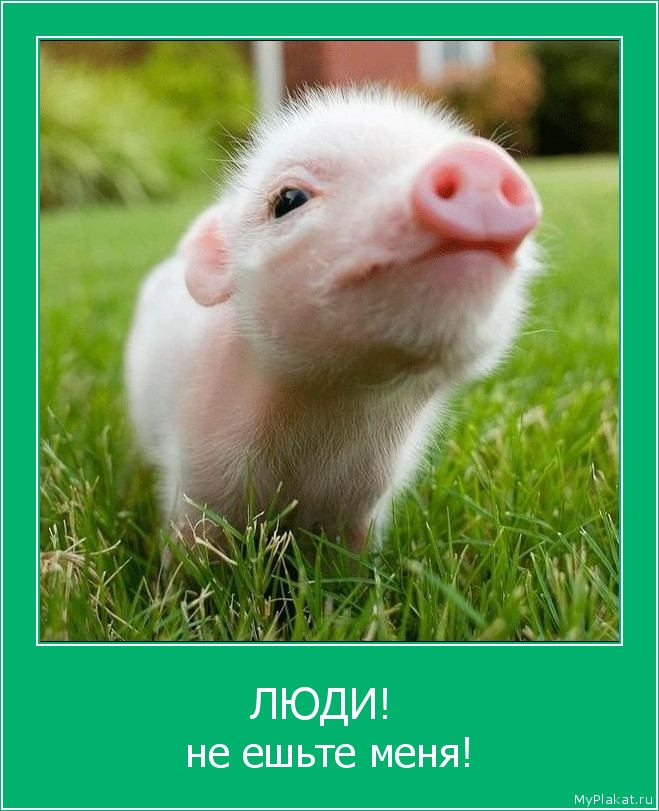 ЛЮДИ!  не ешьте меня!