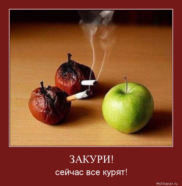 ЗАКУРИ! сейчас все курят!