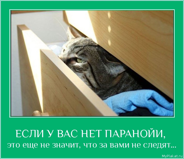 ЕСЛИ У ВАС НЕТ ПАРАНОЙИ,  это еще не значит, что за вами не следят...