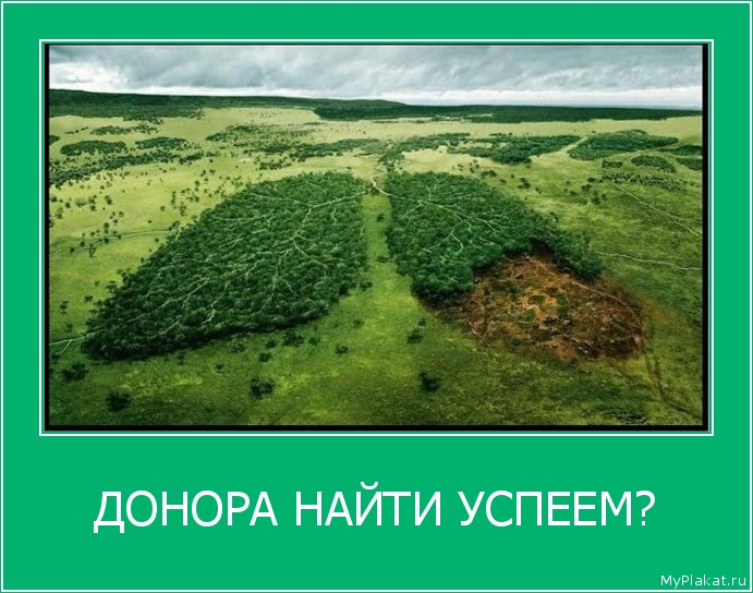 ДОНОРА НАЙТИ УСПЕЕМ? 