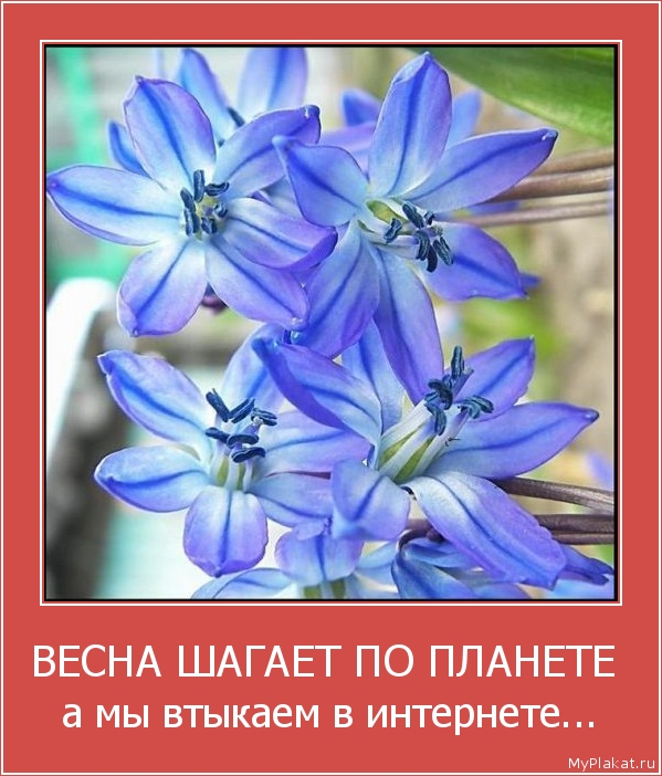 ВЕСНА ШАГАЕТ ПО ПЛАНЕТЕ  а мы втыкаем в интернете...