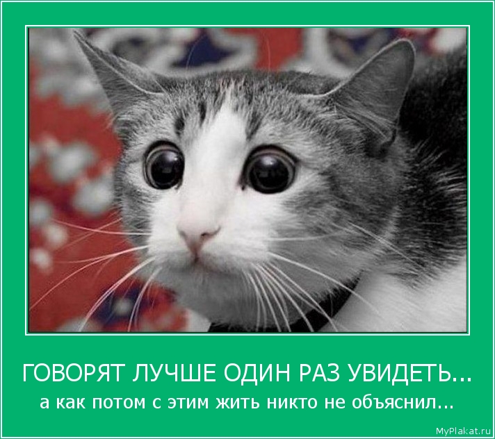 ГОВОРЯТ ЛУЧШЕ ОДИН РАЗ УВИДЕТЬ... а как потом с этим жить никто не объяснил...