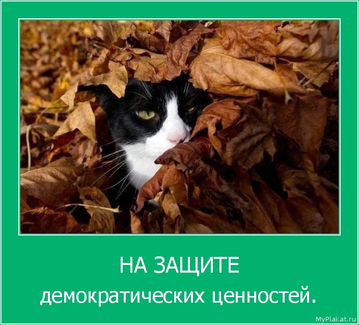 НА ЗАЩИТЕ демократических ценностей.