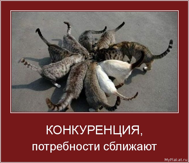 КОНКУРЕНЦИЯ, потребности сближают