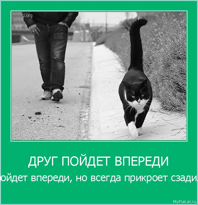 ДРУГ ПОЙДЕТ ВПЕРЕДИ пойдет впереди, но всегда прикроет сзади.