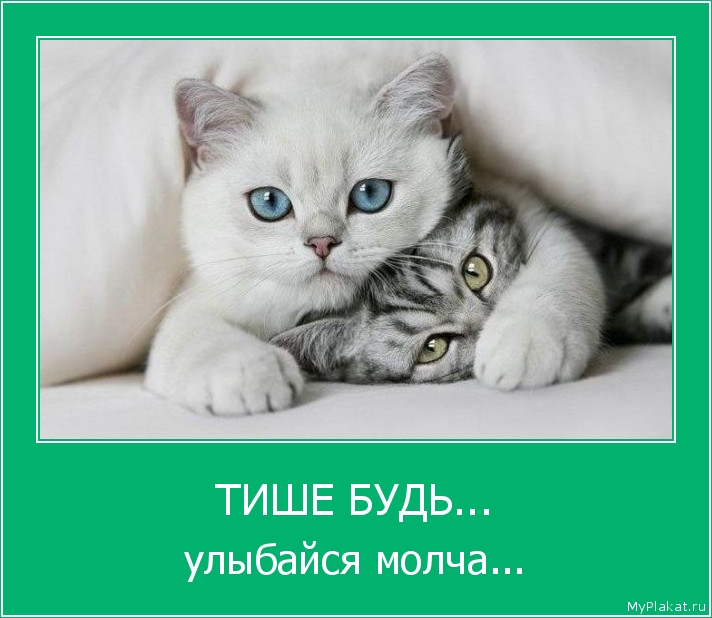 ТИШЕ БУДЬ... улыбайся молча...