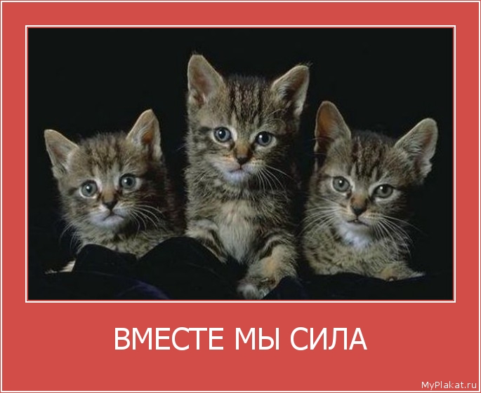 ВМЕСТЕ МЫ СИЛА 