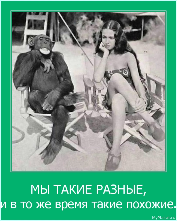 МЫ ТАКИЕ РАЗНЫЕ, и в то же время такие похожие.