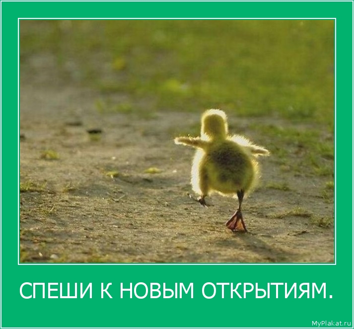 СПЕШИ К НОВЫМ ОТКРЫТИЯМ. 