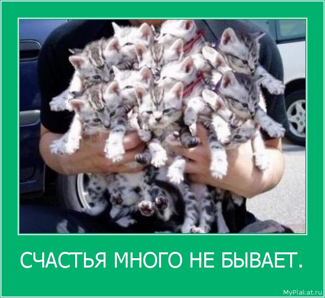 СЧАСТЬЯ МНОГО НЕ БЫВАЕТ. 