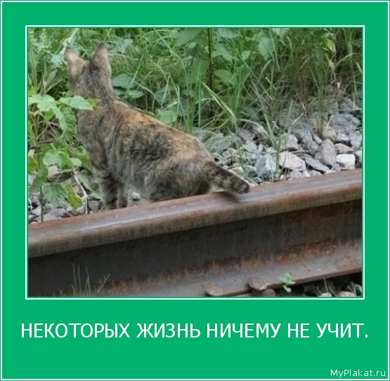 НЕКОТОРЫХ ЖИЗНЬ НИЧЕМУ НЕ УЧИТ. 