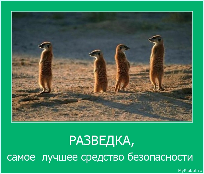 РАЗВЕДКА, самое  лучшее средство безопасности 