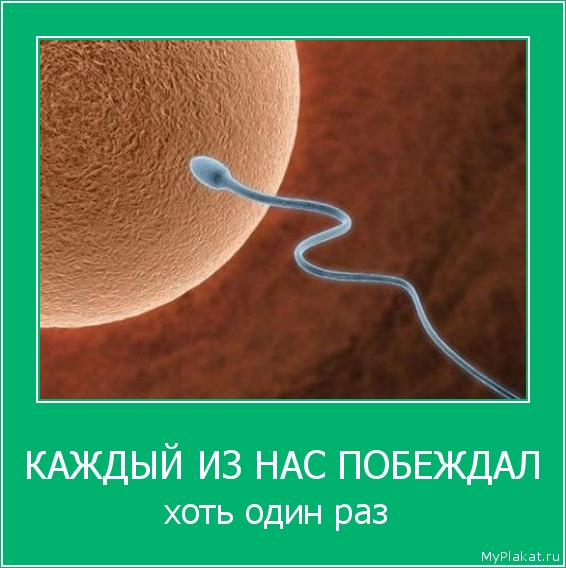 КАЖДЫЙ ИЗ НАС ПОБЕЖДАЛ хоть один раз 