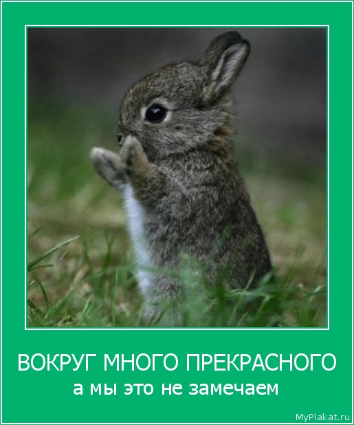 ВОКРУГ МНОГО ПРЕКРАСНОГО а мы это не замечаем