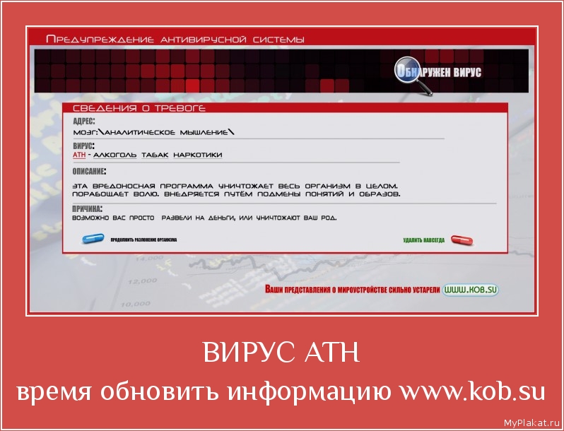 ВИРУС АТН время обновить информацию www.kob.su