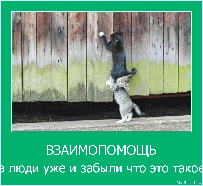 ВЗАИМОПОМОЩЬ а люди уже и забыли что это такое
