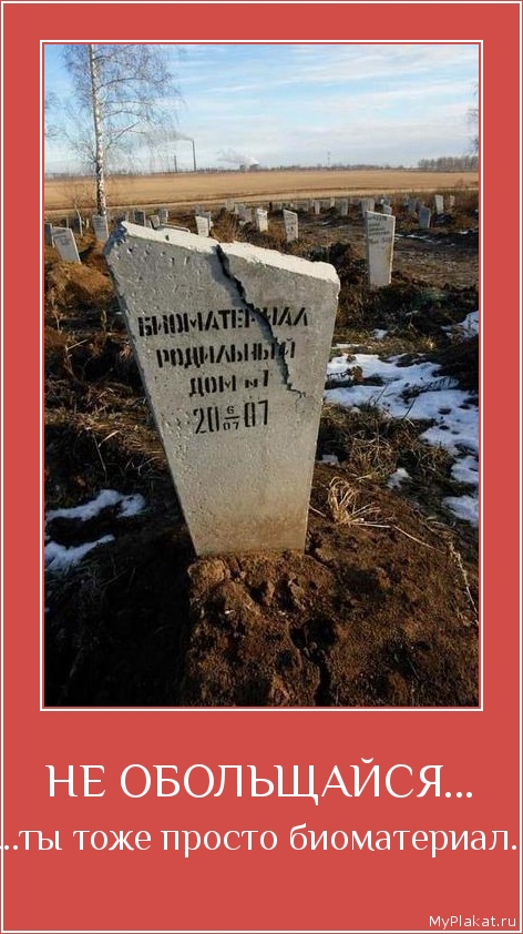 НЕ ОБОЛЬЩАЙСЯ... ...ты тоже просто биоматериал.