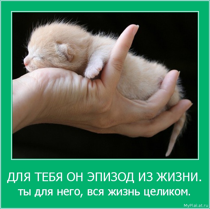 ДЛЯ ТЕБЯ ОН ЭПИЗОД ИЗ ЖИЗНИ. ты для него, вся жизнь целиком.