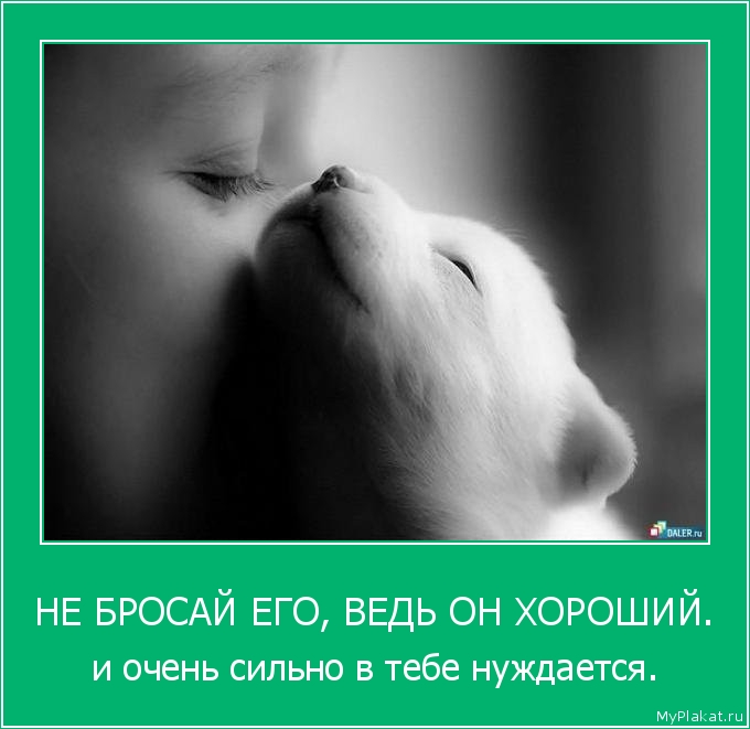 НЕ БРОСАЙ ЕГО, ВЕДЬ ОН ХОРОШИЙ. и очень сильно в тебе нуждается.