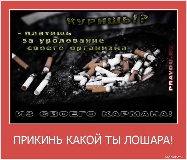 ПРИКИНЬ КАКОЙ ТЫ ЛОШАРА! 