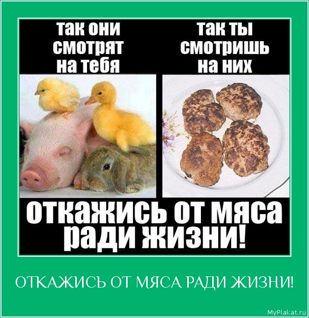 ОТКАЖИСЬ ОТ МЯСА РАДИ ЖИЗНИ! 