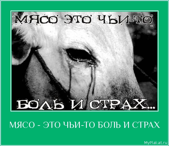 МЯСО - ЭТО ЧЬИ-ТО БОЛЬ И СТРАХ 