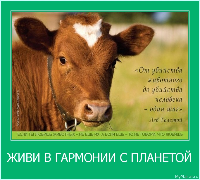 ЖИВИ В ГАРМОНИИ С ПЛАНЕТОЙ 