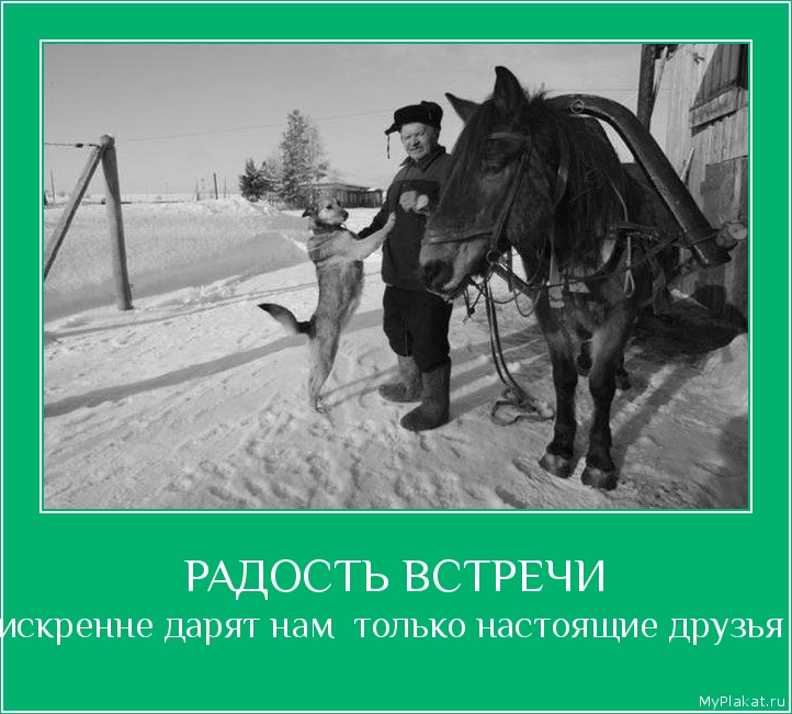 РАДОСТЬ ВСТРЕЧИ искренне дарят нам  только настоящие друзья