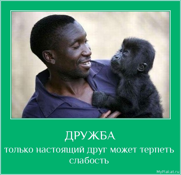 ДРУЖБА только настоящий друг может терпеть слабость