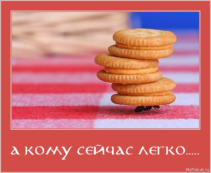 А КОМУ СЕЙЧАС ЛЕГКО..... 
