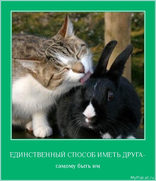 ЕДИНСТВЕННЫЙ СПОСОБ ИМЕТЬ ДРУГА- самому быть им