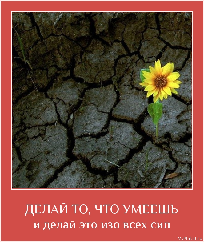 ДЕЛАЙ ТО, ЧТО УМЕЕШЬ и делай это изо всех сил