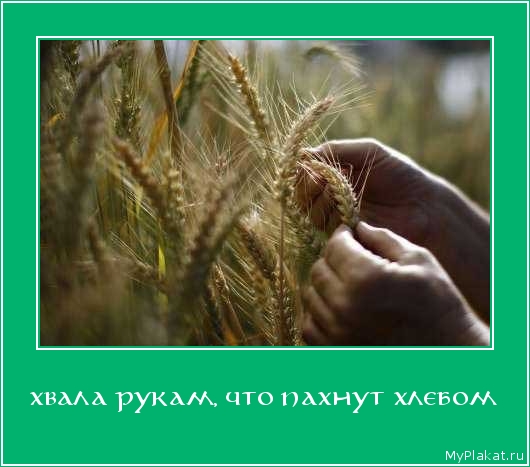 ХВАЛА РУКАМ, ЧТО ПАХНУТ ХЛЕБОМ 