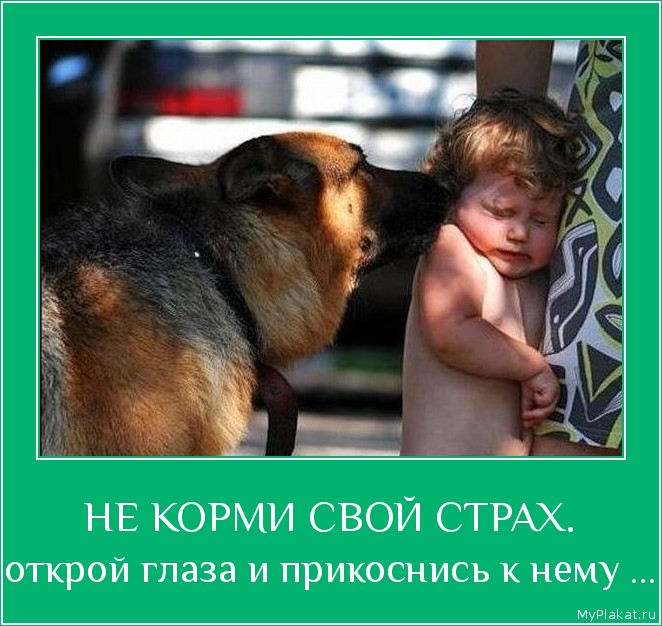 НЕ КОРМИ СВОЙ СТРАХ. открой глаза и прикоснись к нему ...