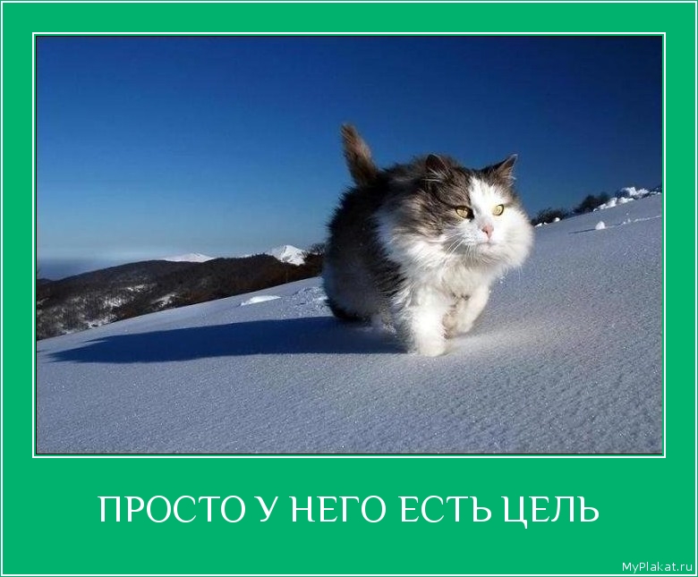 ПРОСТО У НЕГО ЕСТЬ ЦЕЛЬ 