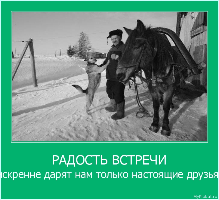 РАДОСТЬ ВСТРЕЧИ искренне дарят нам только настоящие друзья 
