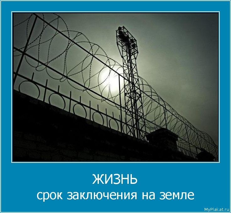 ЖИЗНЬ срок заключения на земле