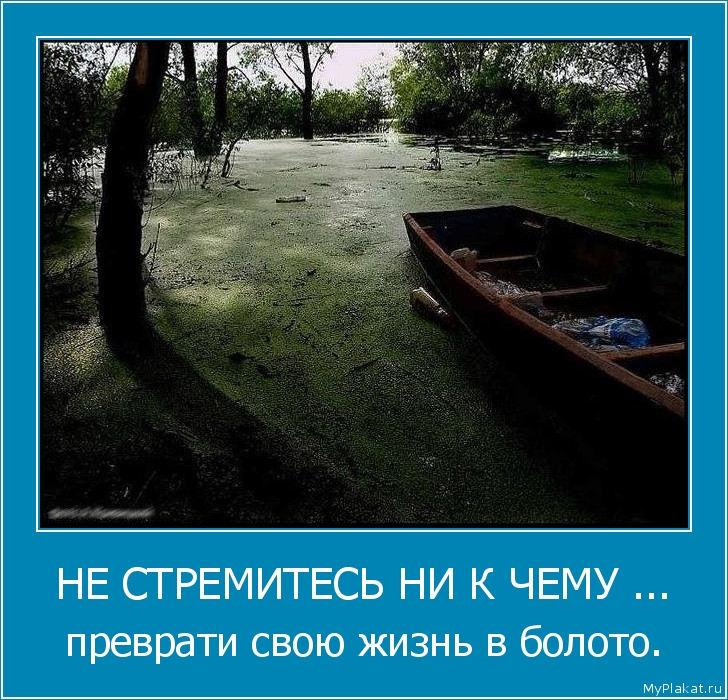 НЕ СТРЕМИТЕСЬ НИ К ЧЕМУ ... преврати свою жизнь в болото.