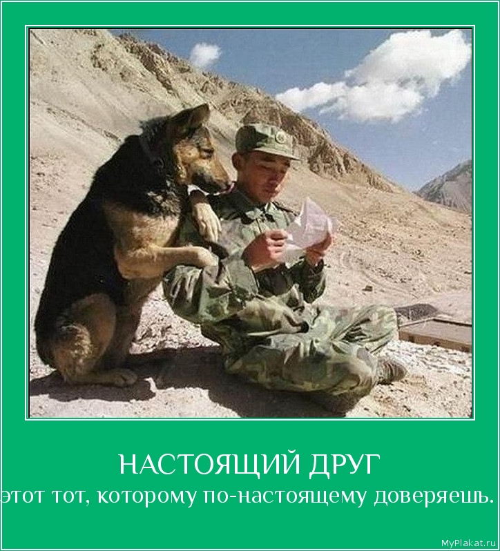 НАСТОЯЩИЙ ДРУГ этот тот, которому по-настоящему доверяешь. 